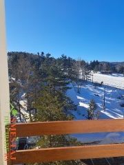 Apartman Centrum