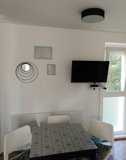 Studio apartman Tara
