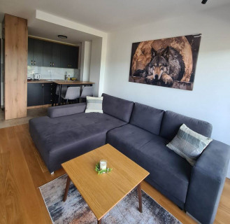 Apartman Kota33 Divčibare Apartman Kota33 Divčibare