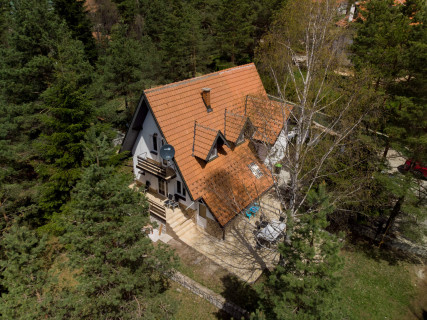 Vikendica Veverica Vikendica Veverica