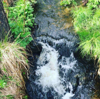 Apartmani vila Draga Divčibare