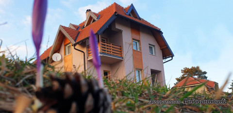 Apartmani Radovanović