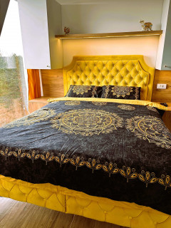 Zlatni apartman Borovi