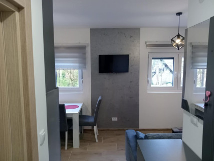 Apartman Savić na Divčibarama