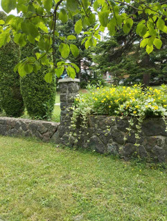 Vila Borova Ljuti krš