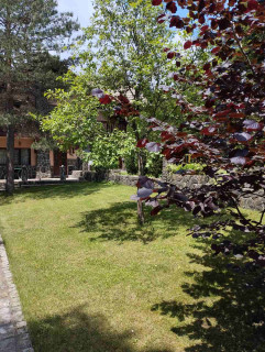 Vila Borova Ljuti krš