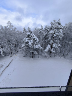 Apartman TOPLINA DOMA