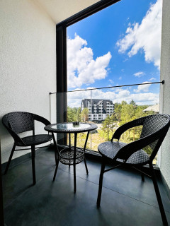 Penthouse Studio Borovi Divčibare