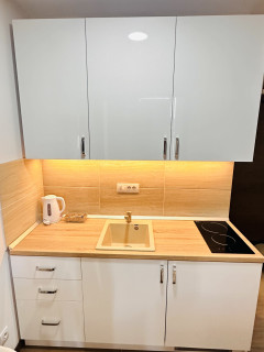 Penthouse Studio Borovi Divčibare