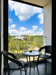 Penthouse Studio Borovi Divčibare