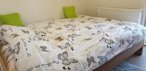 Apartmani Mina